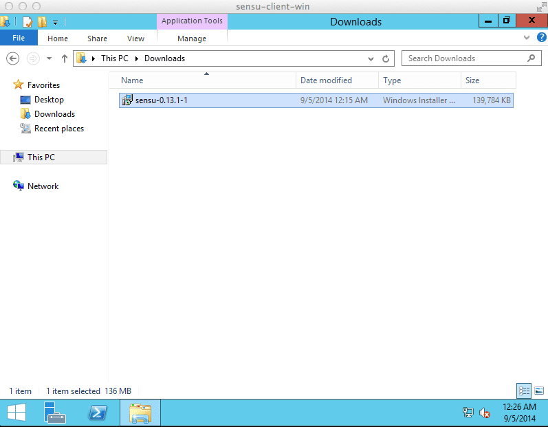 Sensu を Windows にインストール - インストール (2)