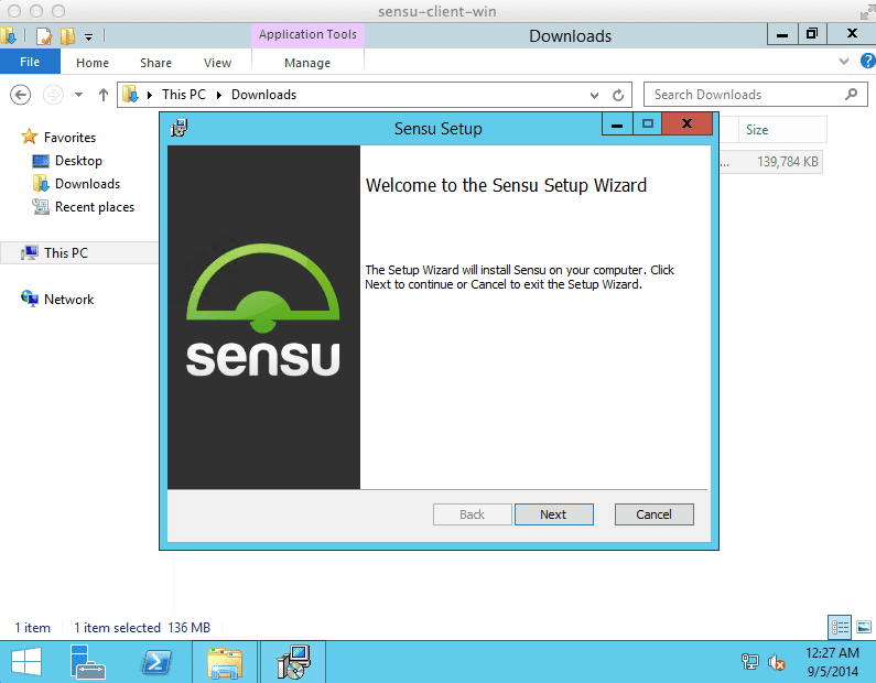 Sensu を Windows にインストール - インストール (3)